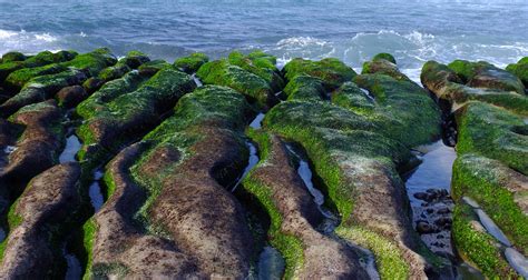 Free Images Beach Landscape Coast Tree Nature Rock Ocean Shore