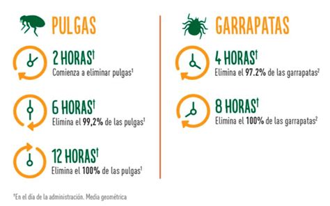 Credelio Antiparasitario Masticable Perro Kg A Kg Comprimido