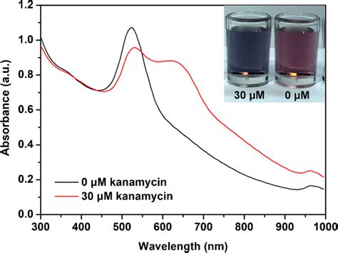 Uv Vis Absorption Spectra Of The Aunps Based Colorimetric Nanoprobe For