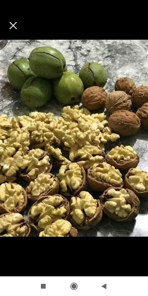 Kashmiri Walnut Packaging Size Kg At Rs Kg In Qaimoh Id