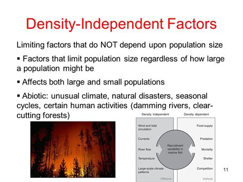 Density Independent Factors