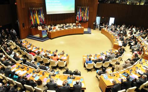 Urgen a América Latina fortalecer su liderazgo en la lucha contra la obesidad El Poder del