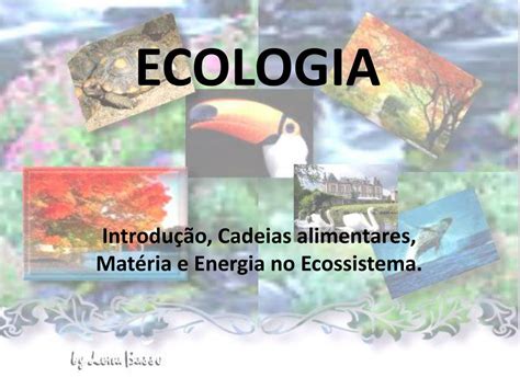 Ppt Ecologia Powerpoint Presentation Free Download Id6466785