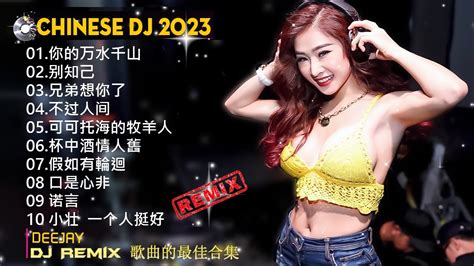 最佳tik Tok混音音樂 Chinese Dj Remix 2023 【海来阿木 你的万水千山 别知己 不过人间 】dj