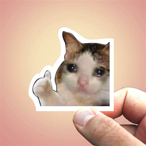 Sad Cat Thumbs Up Meme Template