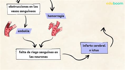 Enfermedades Y Sustancias Que Afectan Al Sistema Nervioso Biologia 3