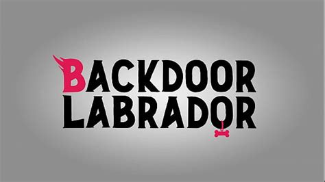 Legoshi Videos XVIDEOS