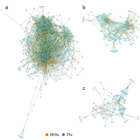 Static Image Of Interactions Networks Between Tfs And Deg Targets In