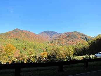 Fall Foliage in Maggie Valley