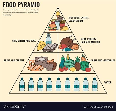 Food pyramid healthy eating infographic healthy Vector Image