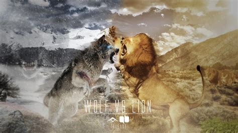 Lion vs wolf by trueart by ATrueArt on DeviantArt