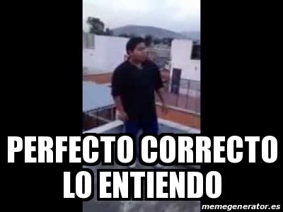 Meme Personalizado Perfecto Correcto Lo Entiendo