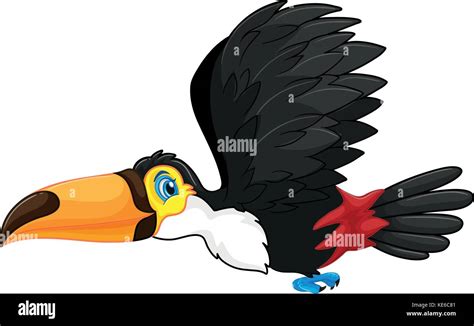 Toucan Flying In The Sky Illustration Stock Vector Image And Art Alamy