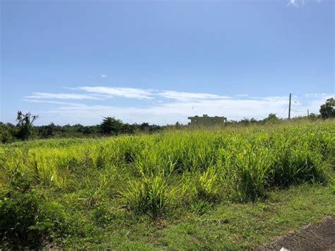 Urb Vistas De Yunque Mar Solar En Rio Grande