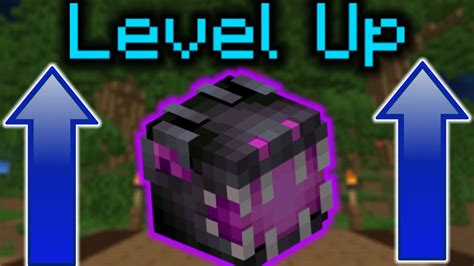 This New Method Is Insane For Leveling Up Pets Hypixel Skyblock YouTube