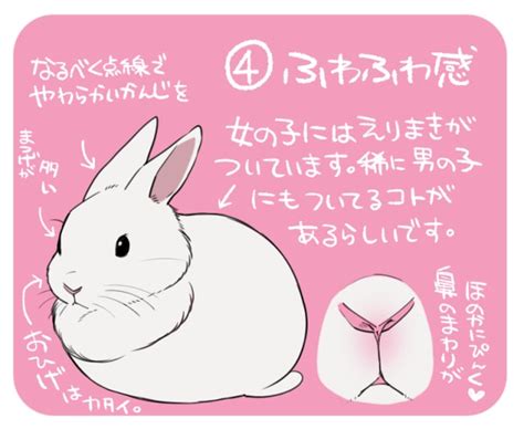 うさぎのイラストの描き方！簡単にかわいく！メイキングで解説｜お絵かき図鑑 うさぎ ウサギの絵 バニー アート