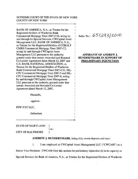 Pdf Affidavit Of Andrew J Hundertmark In Support Of Preliminary