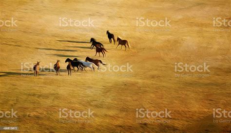 Horses Oil Painting Stock Photo - Download Image Now - 2015, Abstract ...