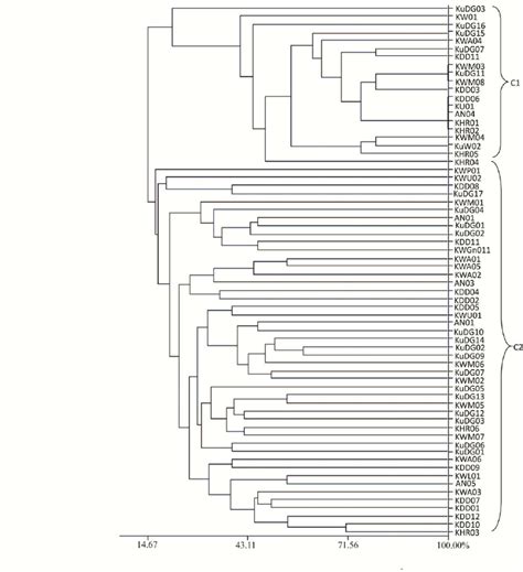 Dendrogram Representing Molecular Similarity Of Phyallanthus Emblica