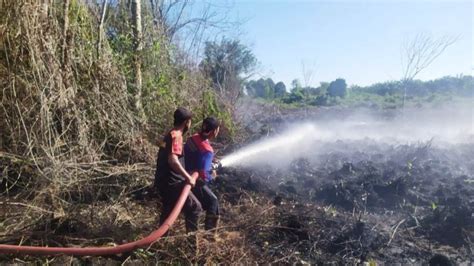 BPBD Padamkan Kebakaran Hutan Dan Lahan Di Aceh Barat