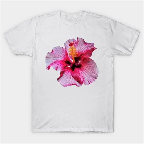 Pink Hibiscus Flower Art Print Hibiscus Flower T Shirt Teepublic