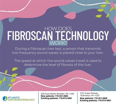 The Fibroscan is a quick and painless test that can determine the level of scarring in the liver ...