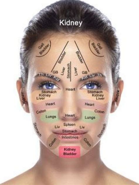 Face Reflexology Chart Etsy In Reflexology Chart Reflexology