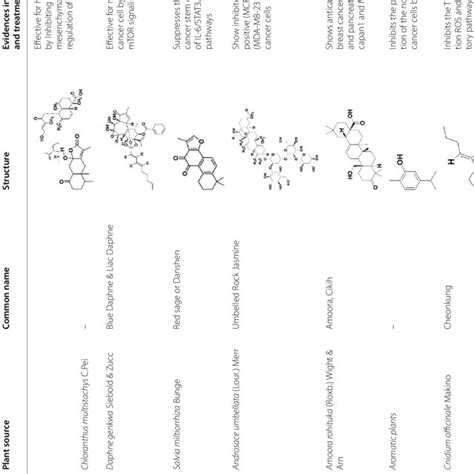 Major Phytochemicals With Anticancer Potential And Their Plant Source S