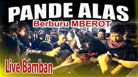 Bantengan Pande Alas Group Mberot Liar Feat Banteng Putra Arema Live