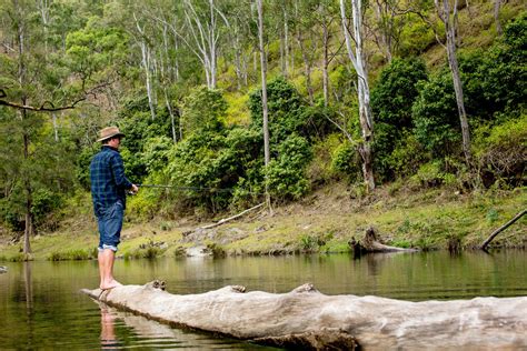 Bass Lodge Macleay Valley Coast