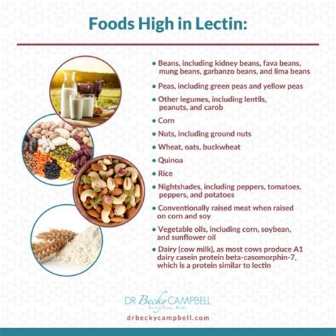 Lectins And Histamine Intolerance The Answer To Your Symptoms Dr