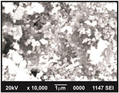 Sem Image Of Nife 2 O 4 Nanoparticles Download Scientific Diagram