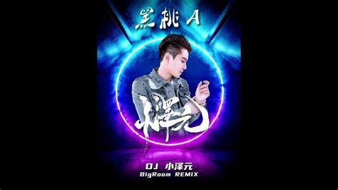 小魚兒 黑桃a Dj 小澤元 Big Room Remix Youtube