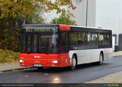 Dk Busbilder Daniel Krause