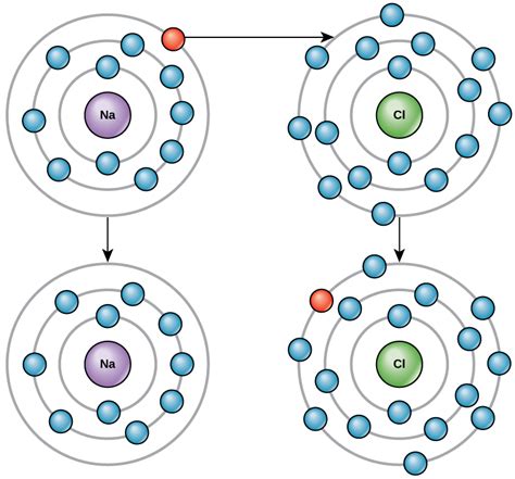 The Building Blocks Of Molecules Biology I