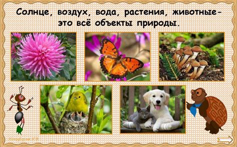 Природа и рукотворный мир. Урок 3. 2 класс - презентация онлайн