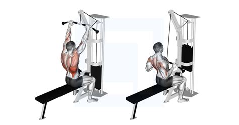 Barbell Bent Over Row Guide Benefits And Form