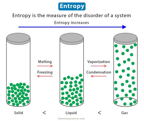 entropy negentropy concept astronomy explained