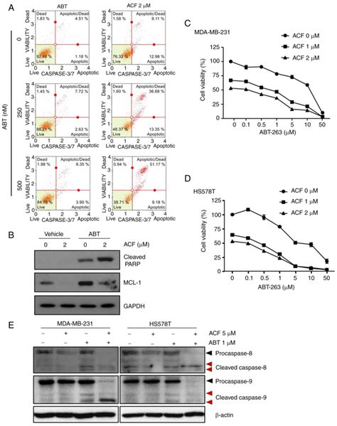 Synergism Of A Novel Mcl‑1 Downregulator Acriflavine With Navitoclax Abt‑263 In Triple