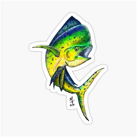 Mahi Mahi Dorado Sticker For Sale By Mfraysher Redbubble