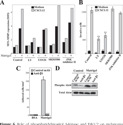 Figure From Tumorigenesis And Neoplastic Progression The Chemokine