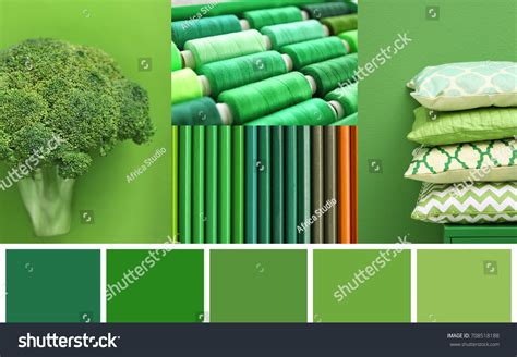 Food Color Palette Over 9428 Royalty Free Licensable Stock Photos