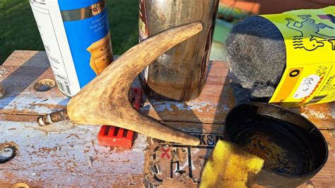 Red Deer Antler Renovation For A Hiking Stick Clean Polish Add