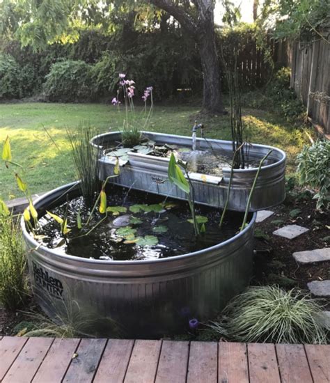 Fish Ponds Backyard Backyard Coop Patio Pond Diy Pond Backyard