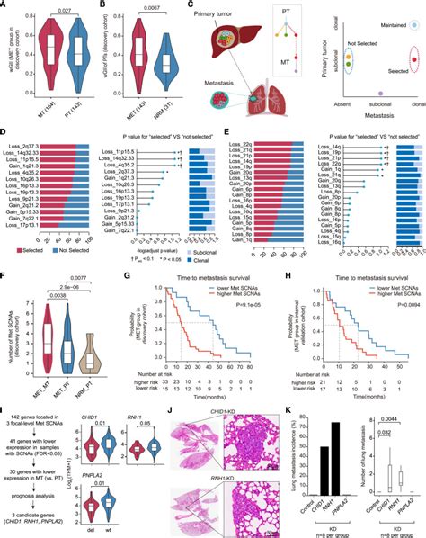 Integrated Multi Omics Profiling To Dissect The Spatiotemporal