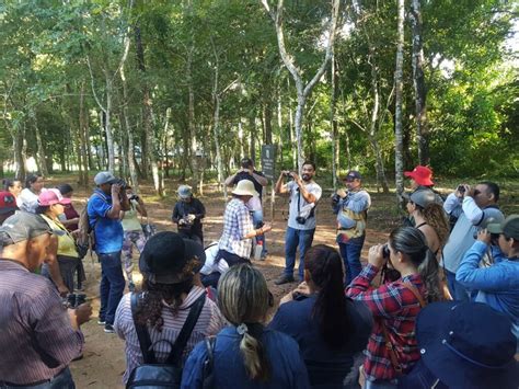 Bichos Do Pantanal Leva Educa O Ambiental E Viv Ncia Na Natureza A