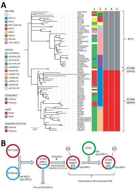 Figure 2 New Delhi Metallo β Lactamase 5producing Klebsiella Pneumoniae Sequence Type 258