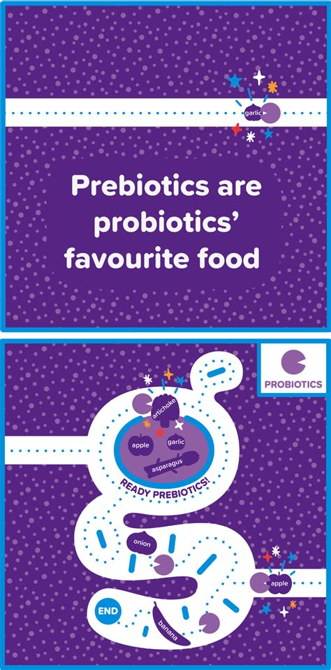 Benefits Of Prebiotics And Probiotics Genius Gut Health