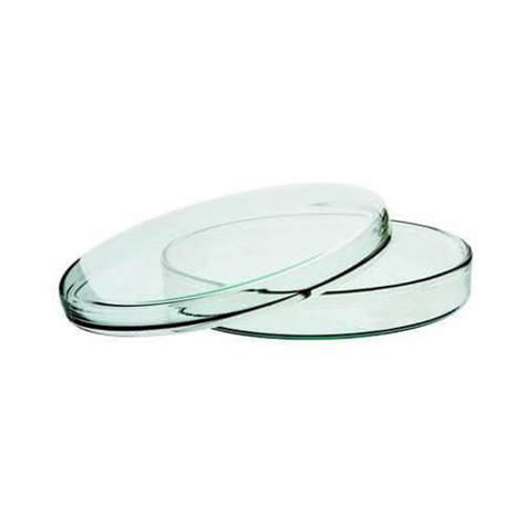 Glass Petri Dish 60 mm for Lab Use - Lab Asia Science and Technology ...