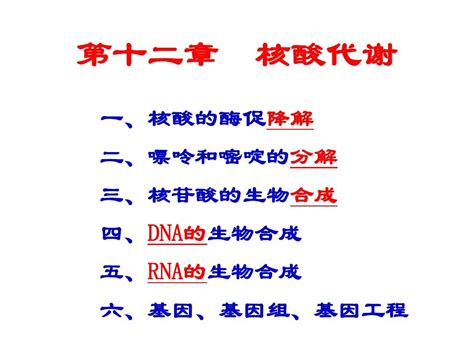 12第十二章 核酸的代谢word文档在线阅读与下载无忧文档